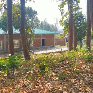 1800 Sq.ft Residential Plot for Sale in ONGC, Dehradun