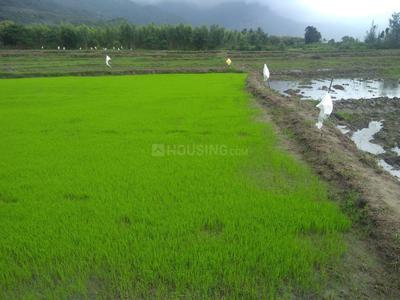 Gallery Cover Image of Sq.ft Residential Plot for buy in Annur for 9000000