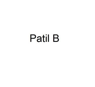 Patil B logo