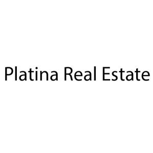 Platina Real Estate logo