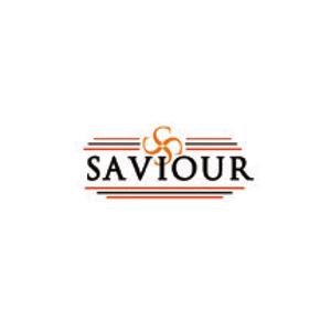 Saviour Builders Pvt Ltd logo