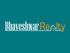 Bhaveshwar Realty
