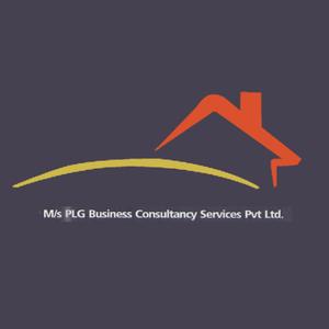 PLG Business Consultancy Service logo