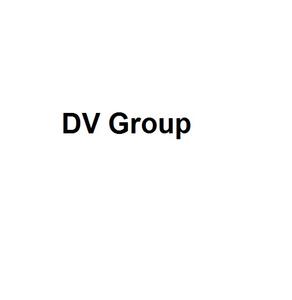 DV Group logo