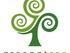 Green Tree Homes & Ventures