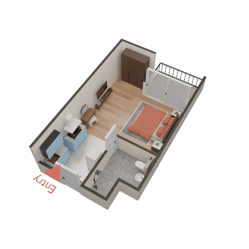 Beetle Orchid - Image 44