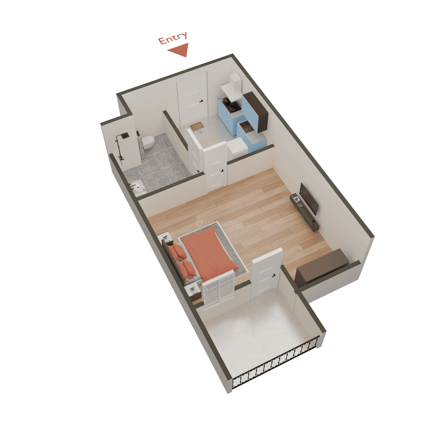 Beetle Orchid - Image 37