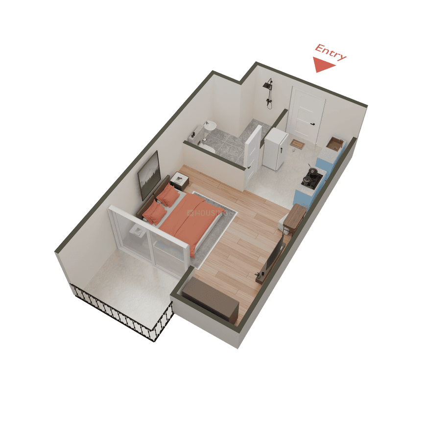 Beetle Orchid - Image 42