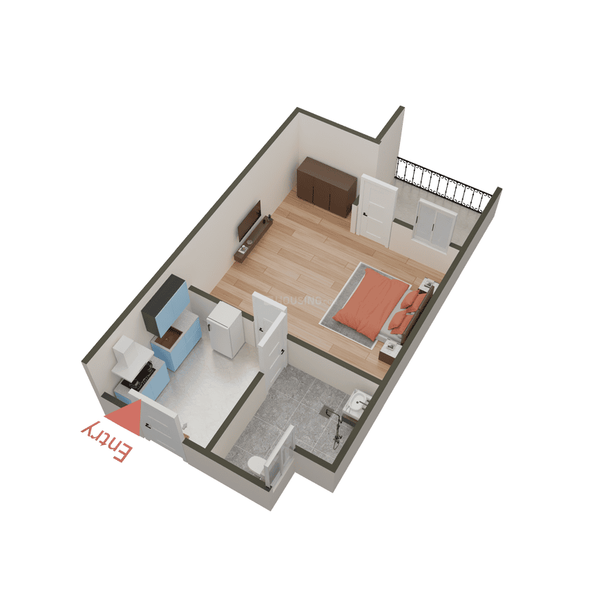 Beetle Orchid - Image 40