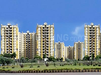 Shaurya Alstonia - Image 3