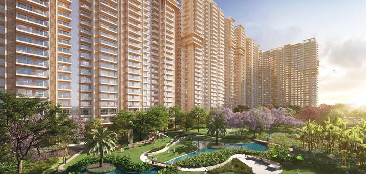 Ivory County Gold - Image 4