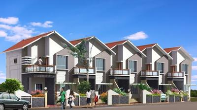Gallery Cover Pic of Disha Direct Palazzo