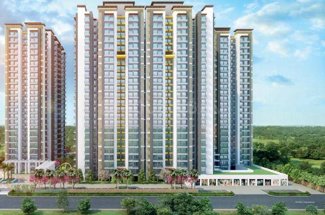 ABA Coco County - Image 5