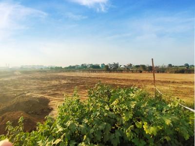 Residential Plot