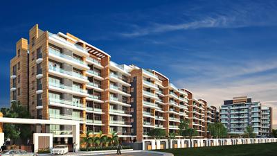 Windsor Aralia