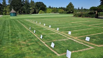 Residential Lands for Sale in Shree Krishna