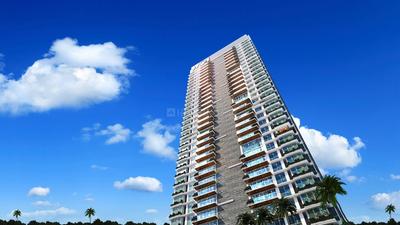 Gallery Cover Pic of Wadhwa W54