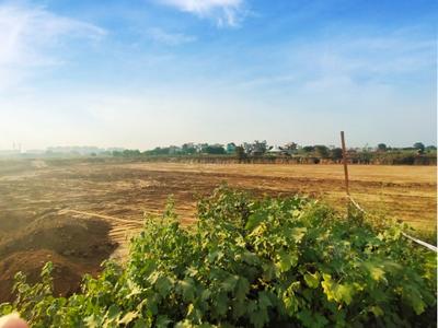 Residential Plot
