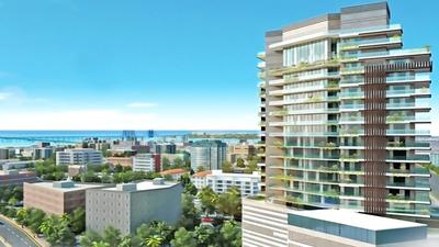 Gallery Cover Pic of Cosmos Aura Phase 1