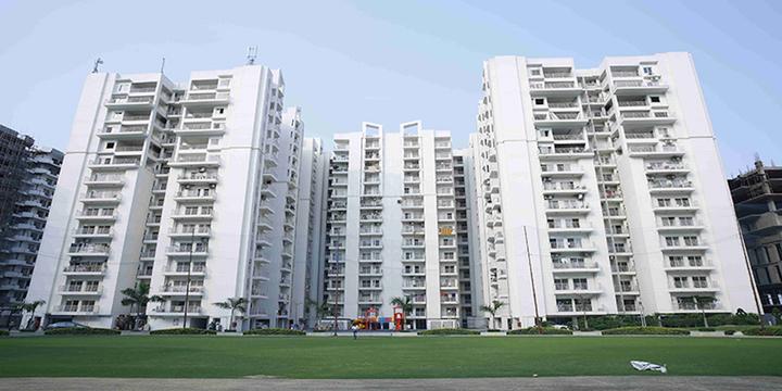 VVIP Addresses - Image 4