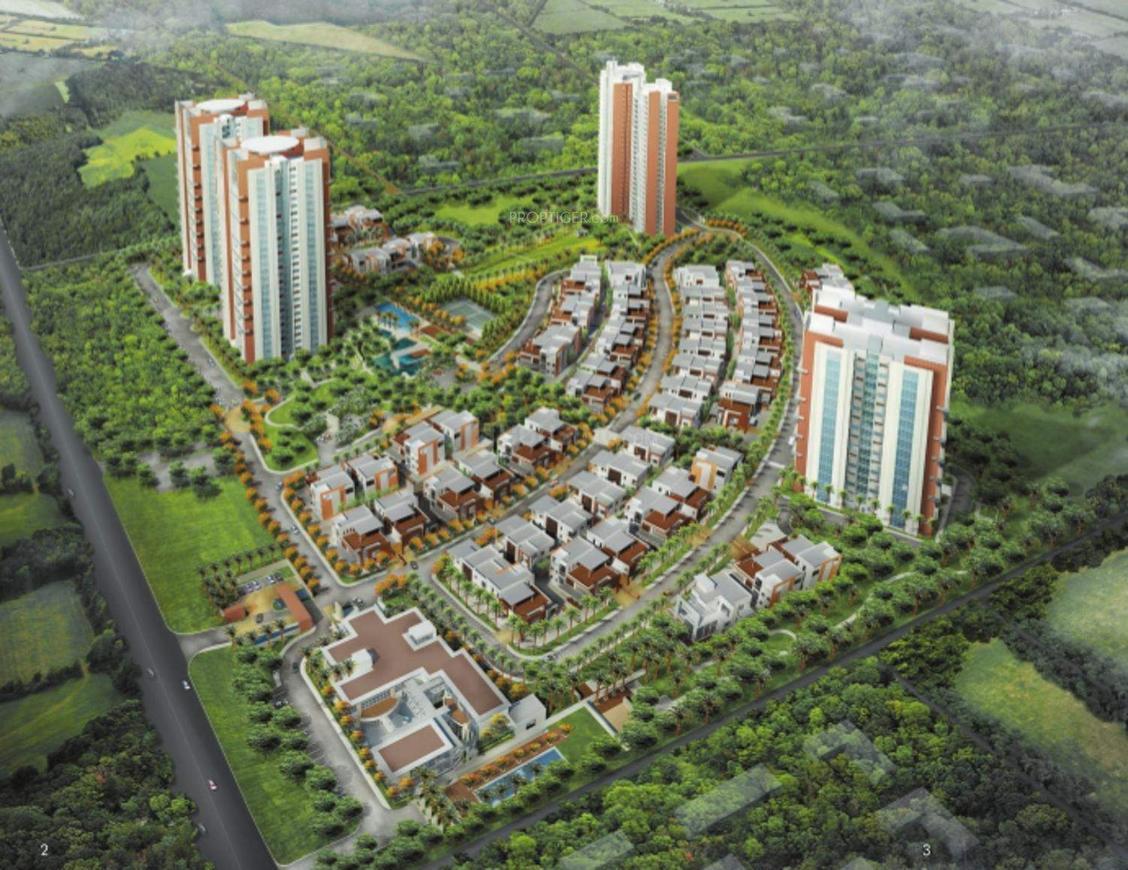 Prestige White Meadows