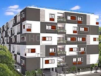 Samk Samk Whitestone Ashraya