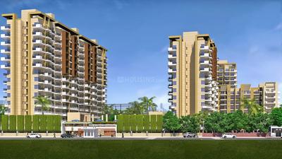Gambhir Golden Leaf