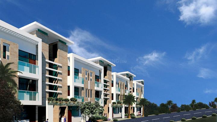 Aditya Willow 162 - Image 3