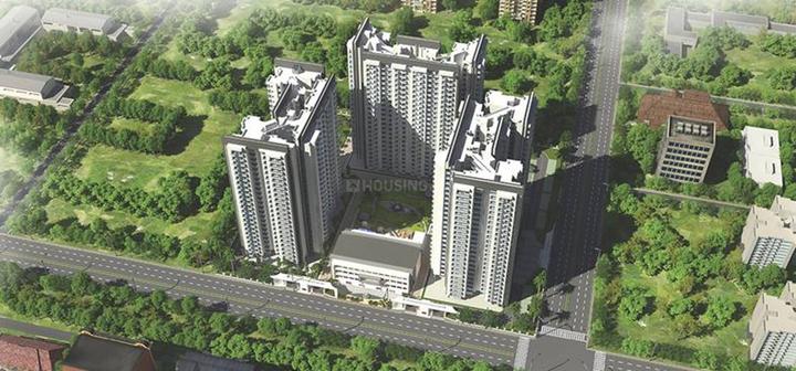 Sikka Kirat Greens - Image 4