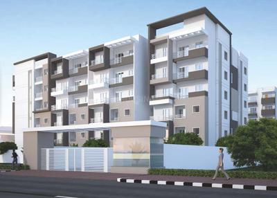 Gallery Cover Pic of Icon SN Luxuria