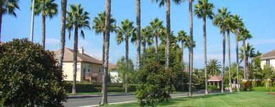 Residential Plot