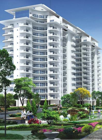 Greenwoods - Image 5