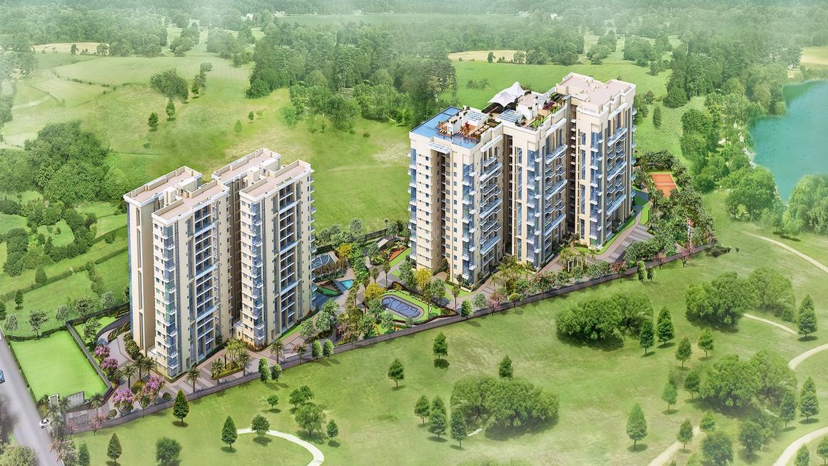 The Five Summits Address, Whitefield