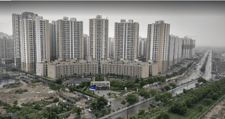 Paras Tierea - Image 4