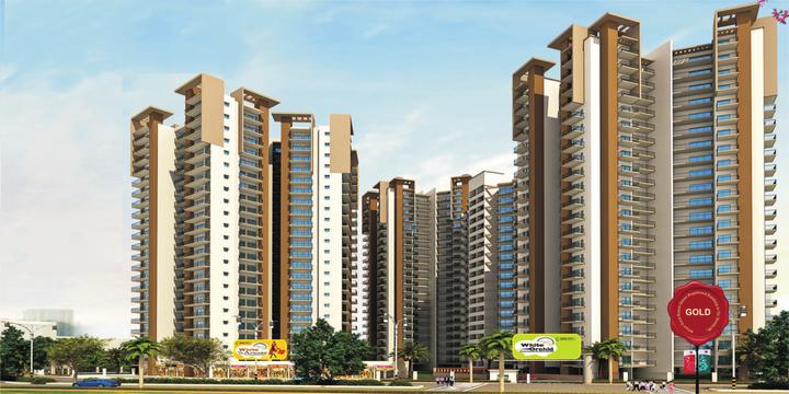 Town White Orchid - Image 5