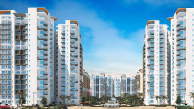 Gallery Cover Pic of Sikka Karnam Greens