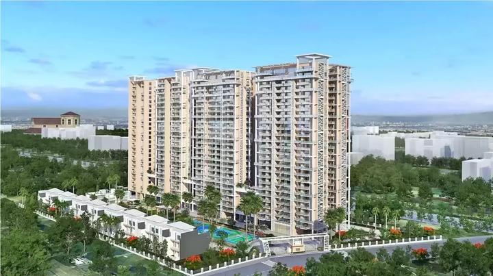 Sikka Kimaantra Greens - Image 4