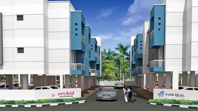 Gallery Cover Pic of Fair Orchid