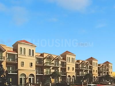 Gallery Cover Pic of CHD Boulevard