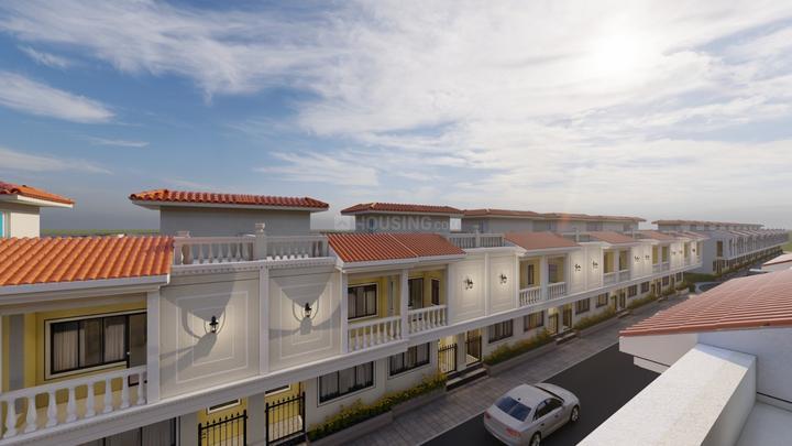 Trinity Primus - Image 4