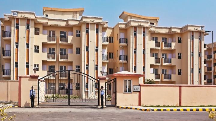 Sare Ebony Greens - Image 3