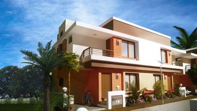 Gallery Cover Pic of Tulsi Greens