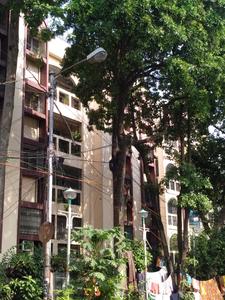 Gallery Cover Pic of Rajat Homes Darpan