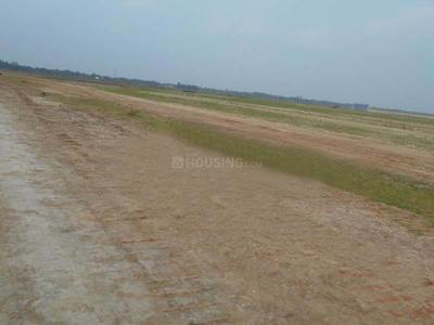 Gallery Cover Pic of Naskar Green World