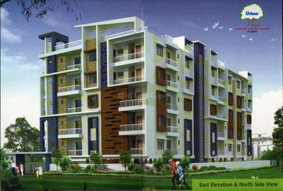 Gallery Cover Pic of Urban Tree
