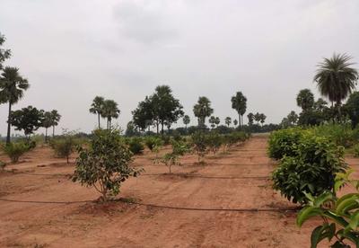 Residential Lands for Sale in USM My City Go Ranch