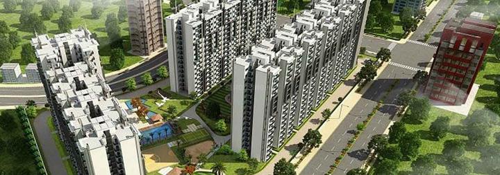 AFOWO Raksha Addela - Image 4