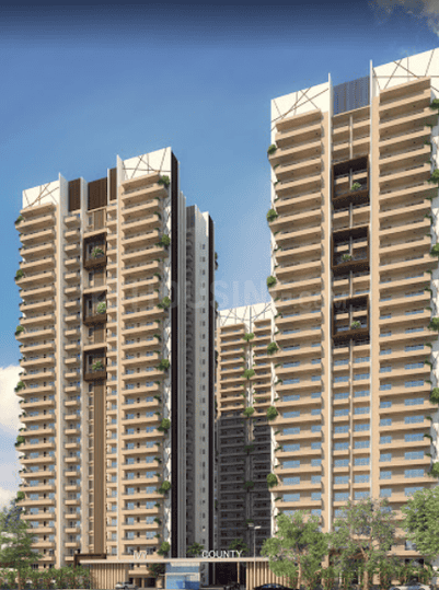 IVY County - Image 4