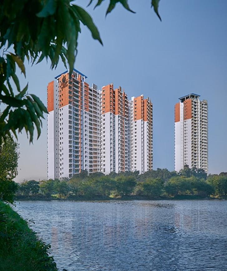 Prestige misty waters