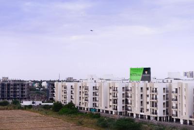 Jain Alpine Meadows